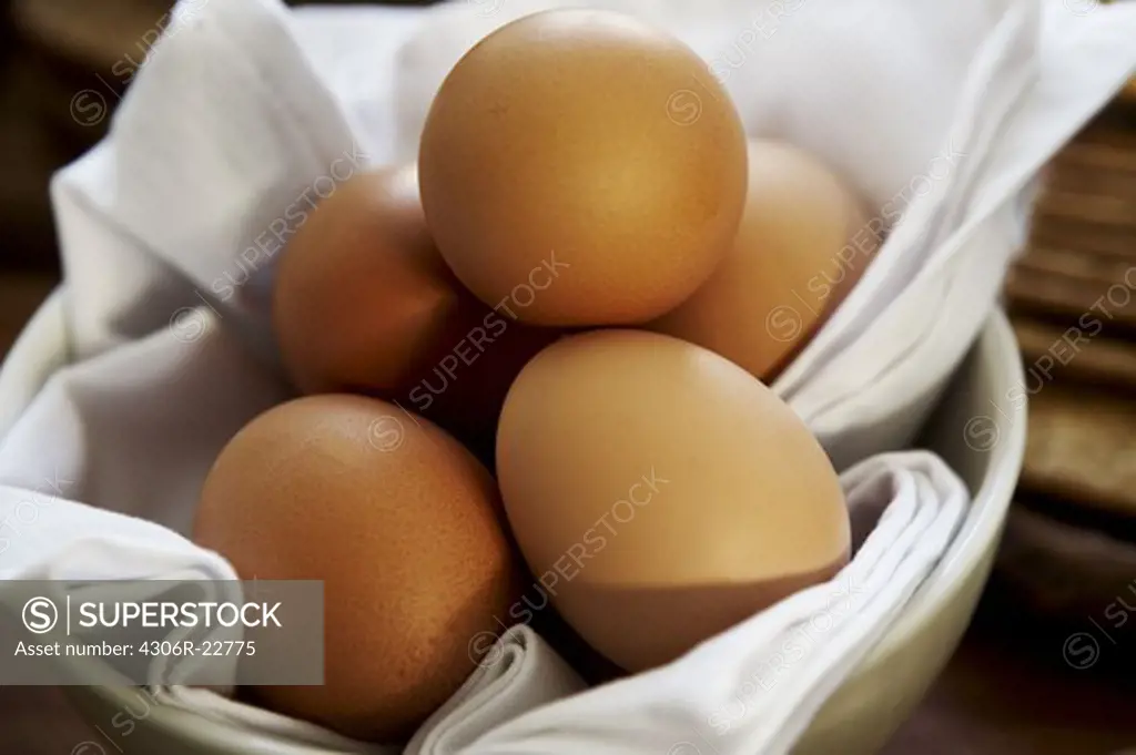 Brown eggs, close-up, South Africa.