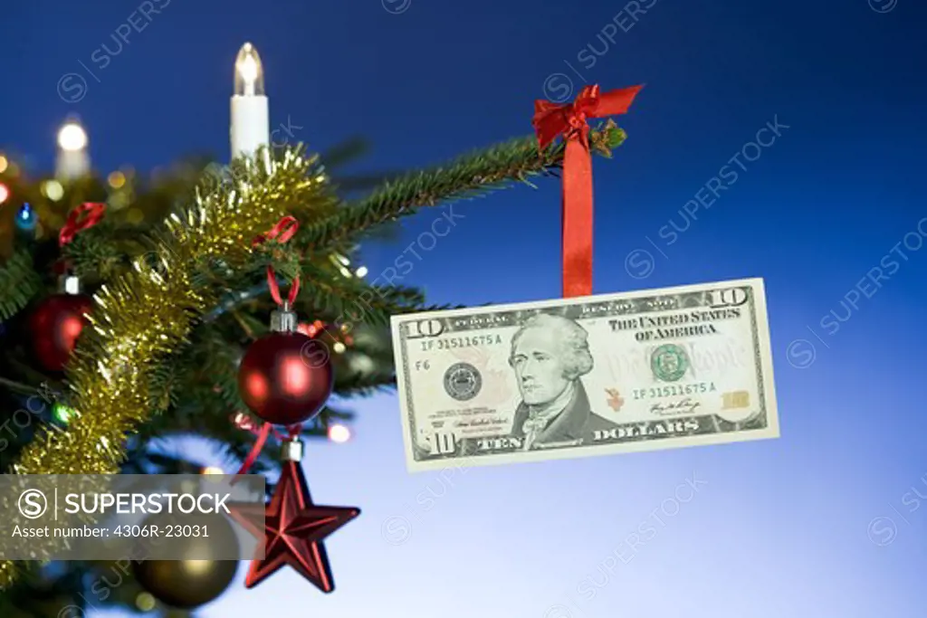 A dollar bill hanging in a Christmas tree.