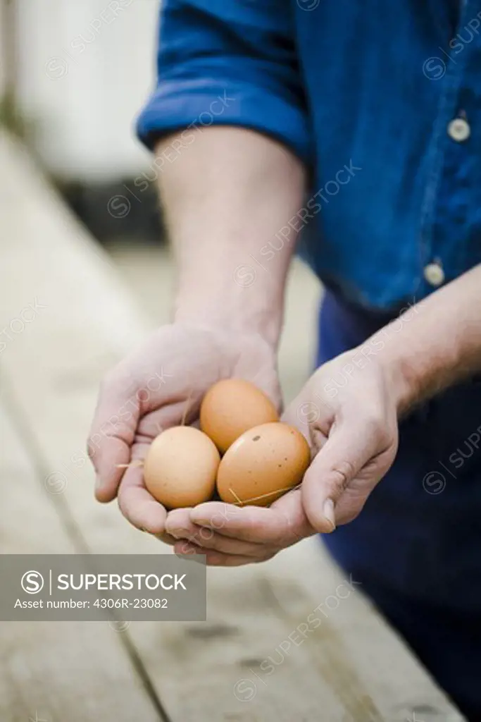 Farmer holding eggs in his hands.
