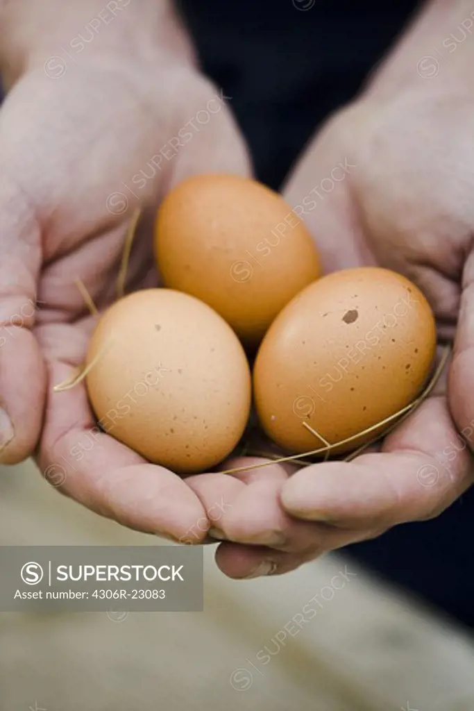 Man holding eggs in his hands.