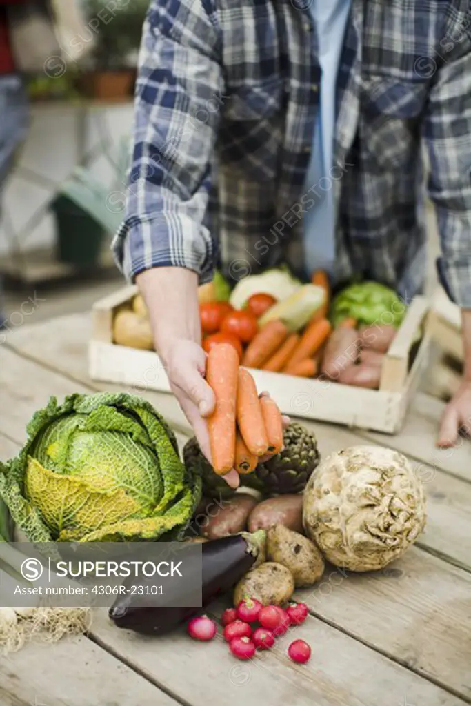 Farmer showing vegetables.