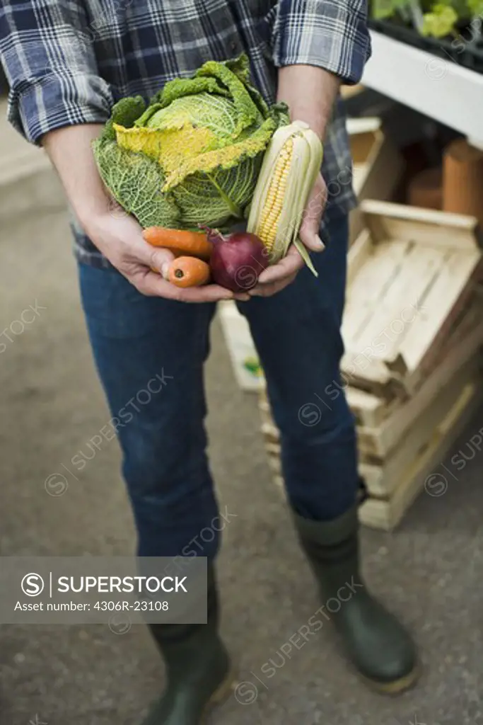 Farmer holding vegetables in his hands.