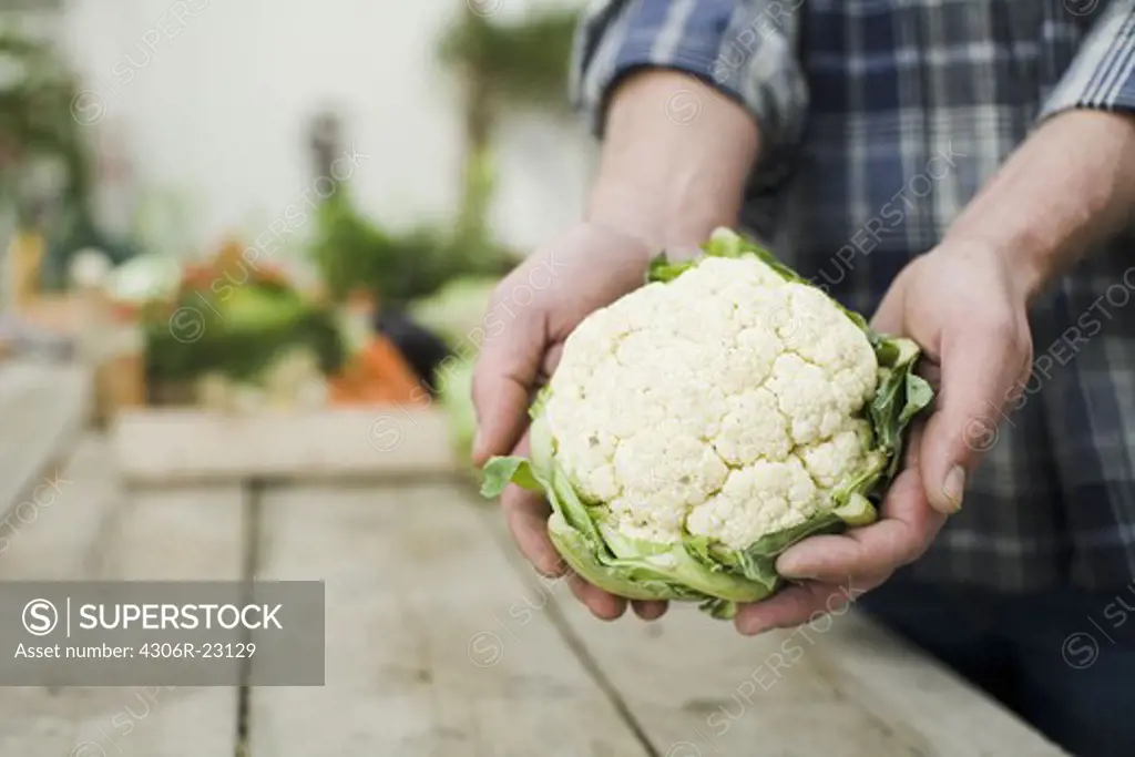 Man holding a head of cauliflower.