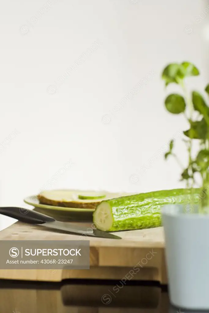 Cucumber and sandwich, Sweden.