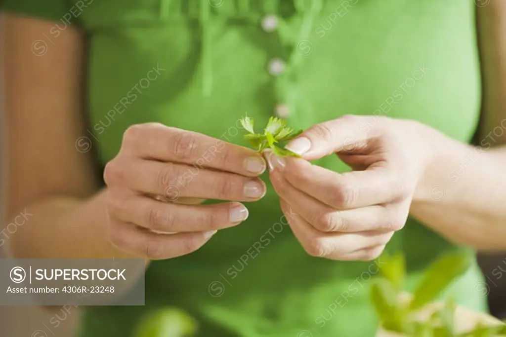 Woman with parsley, Sweden.
