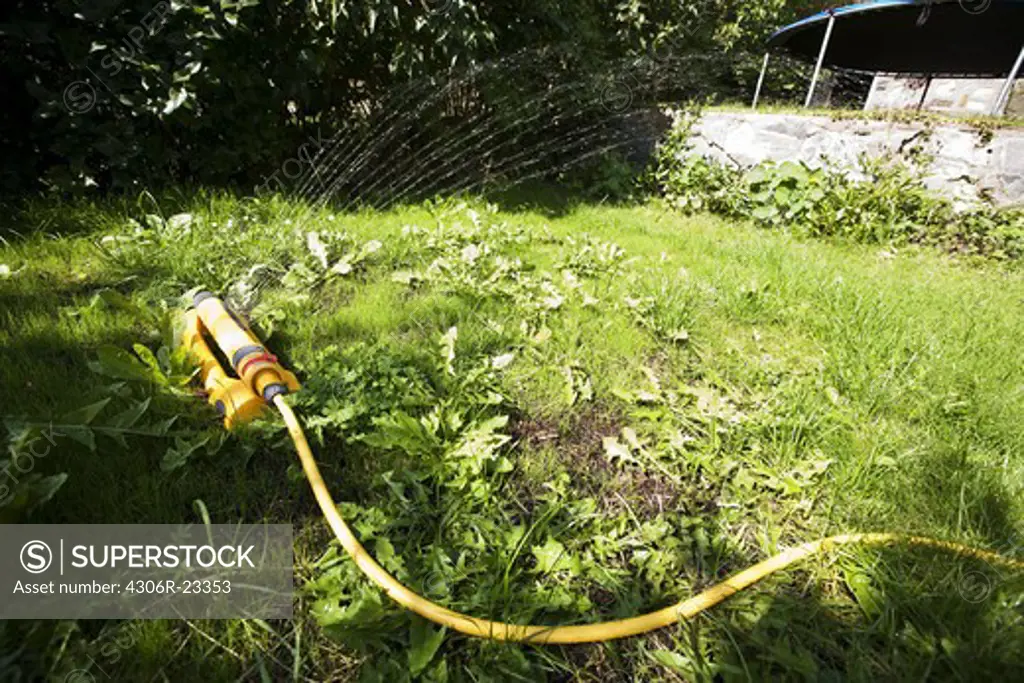 Garden hose watering lawn