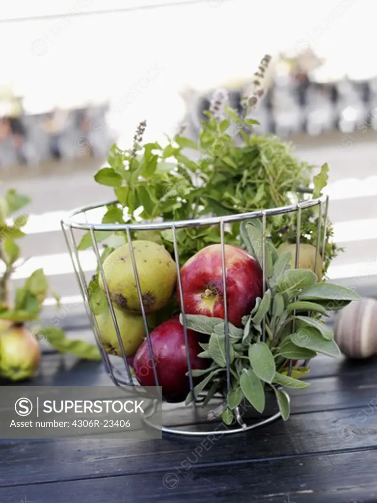Apples and herbs in a basket, Sweden.
