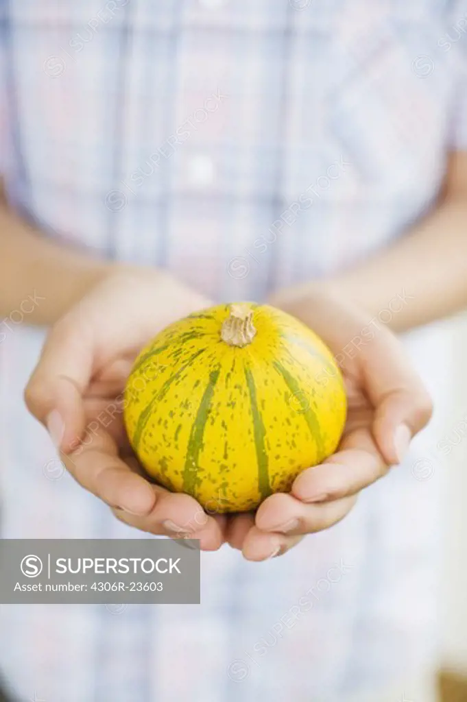 Hands holding a small pumpkin, Sweden.