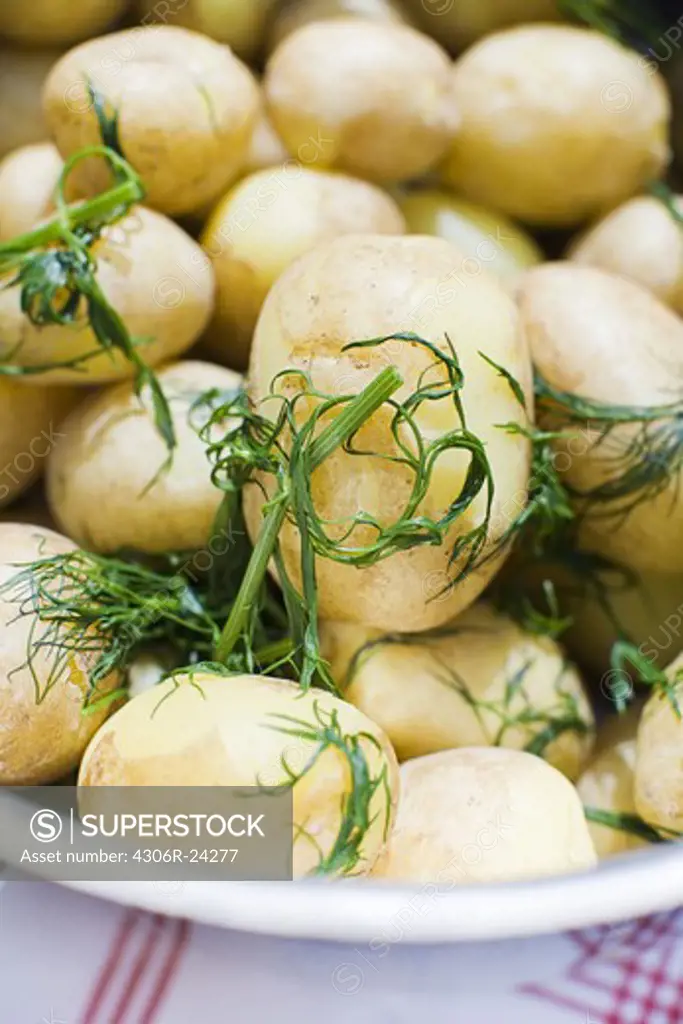 Prepared potatoes served in bowl