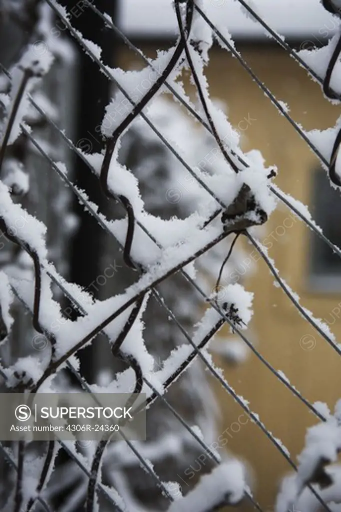 Stems and metal wire covered with snow, Sweden.
