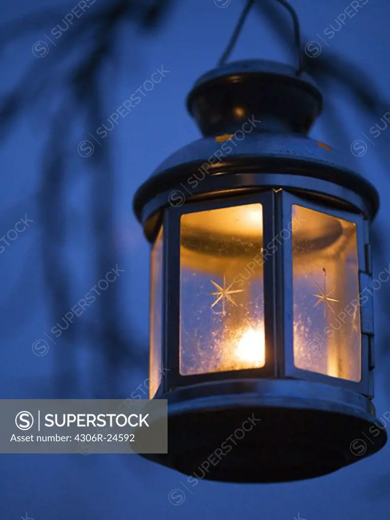 Lit lantern hanging on branch, close-up