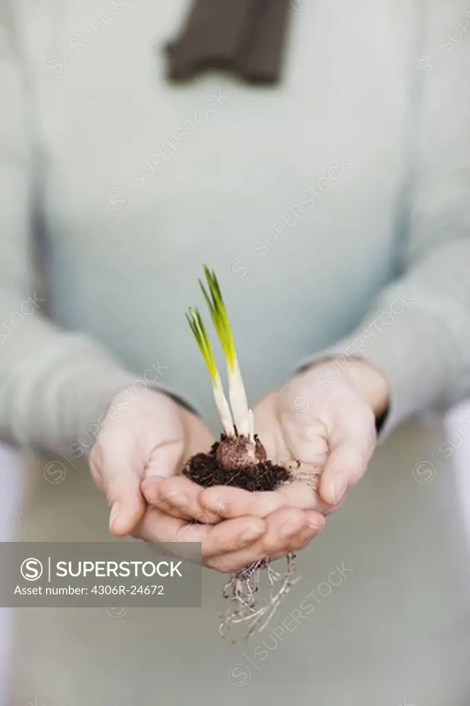 Woman holding plant sapling