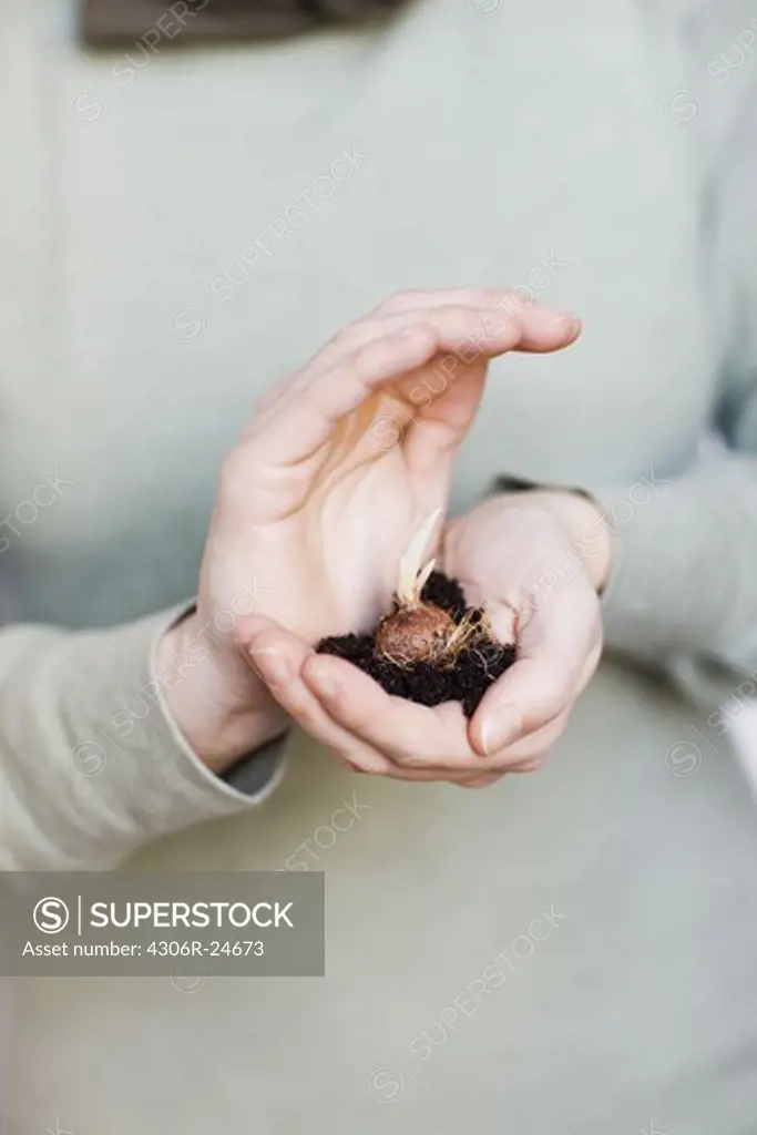 Woman holding plant sapling