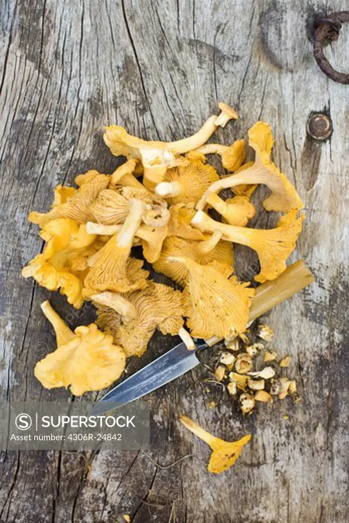 Overhead view of chanterelle mushroom on wooden table