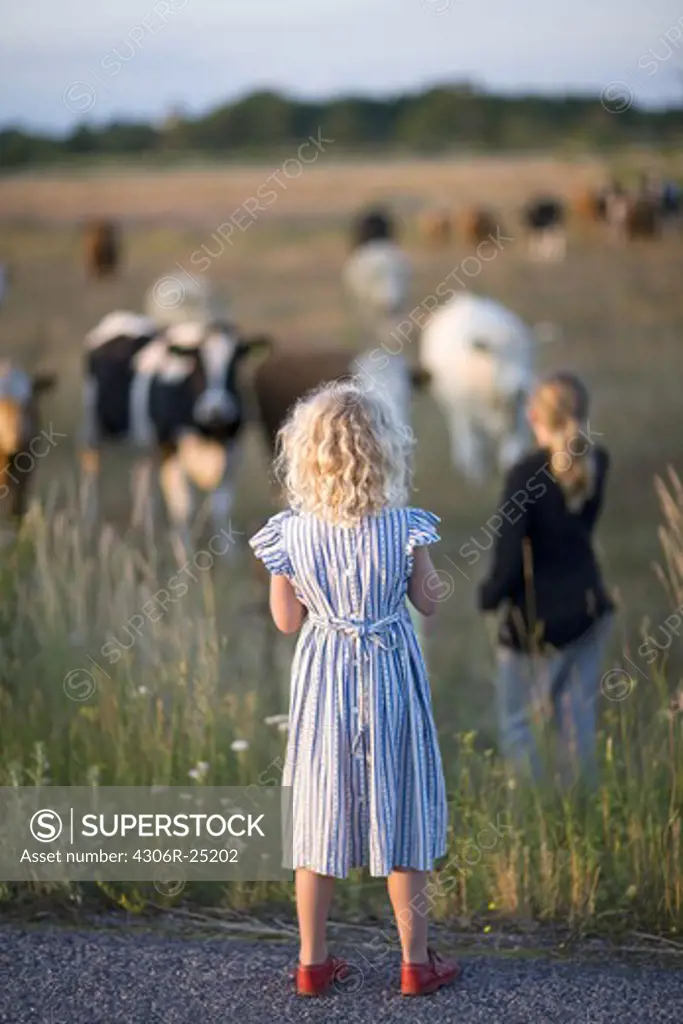 Two girls looking at cows on pasture