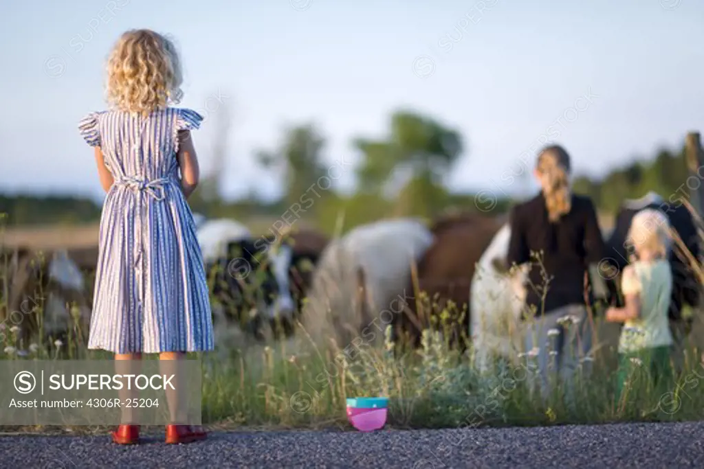 Three girls looking at cows on pasture