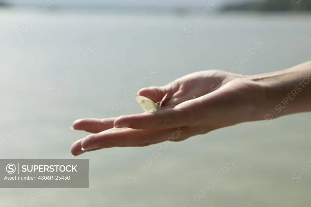 Womans hand holding butterfly