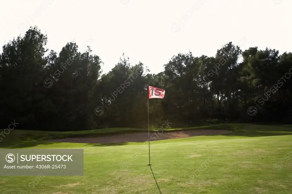 Flag on golf course