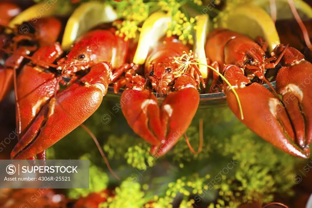 Meal with crayfishes