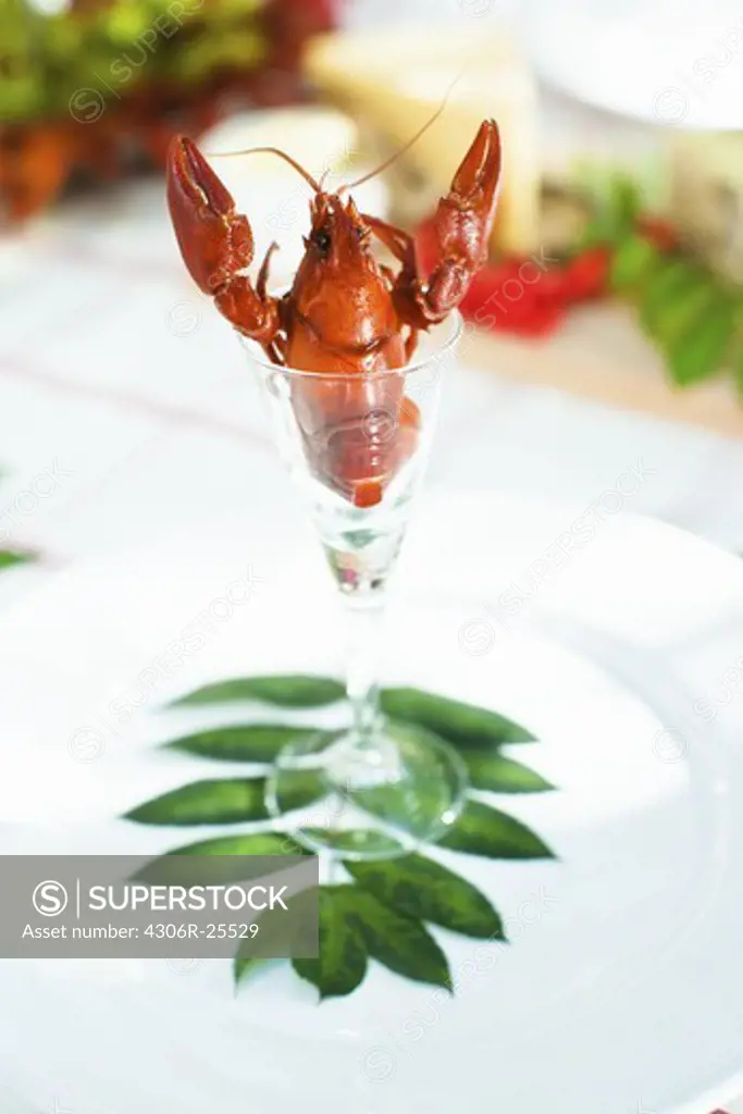 Crayfish in glass