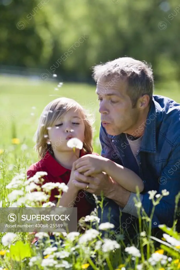 Father and son  blowing dandelion in bright sunlight