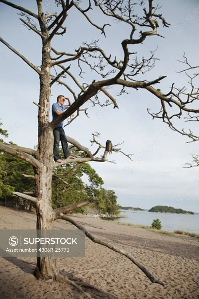 Man on tree looking at view