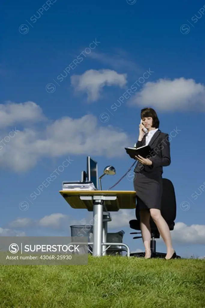 Businesswoman working at desk in grass field