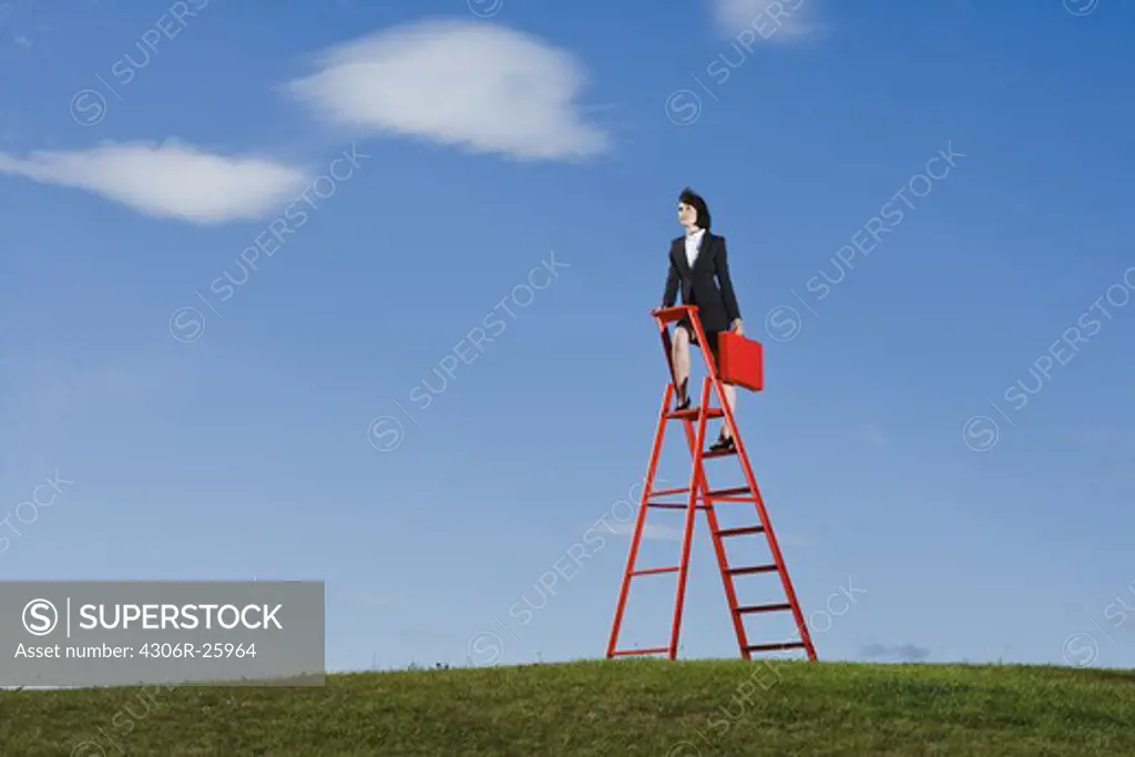 Businesswoman with red briefcase standing on top of red ladder in grass field