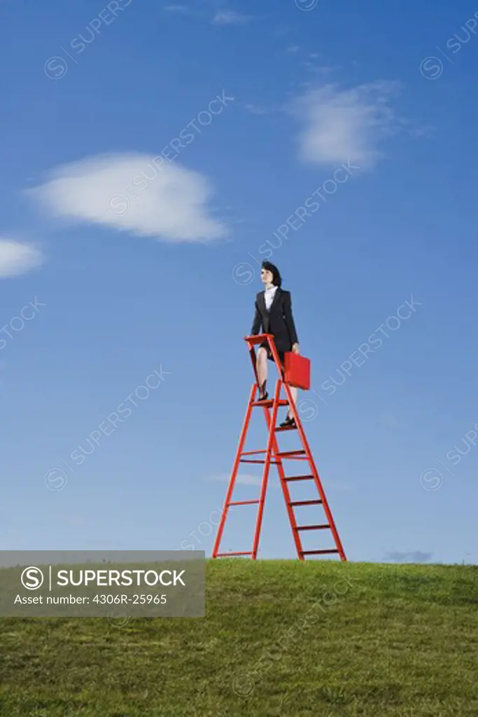 Businesswoman with red briefcase standing on top of red ladder in grass field