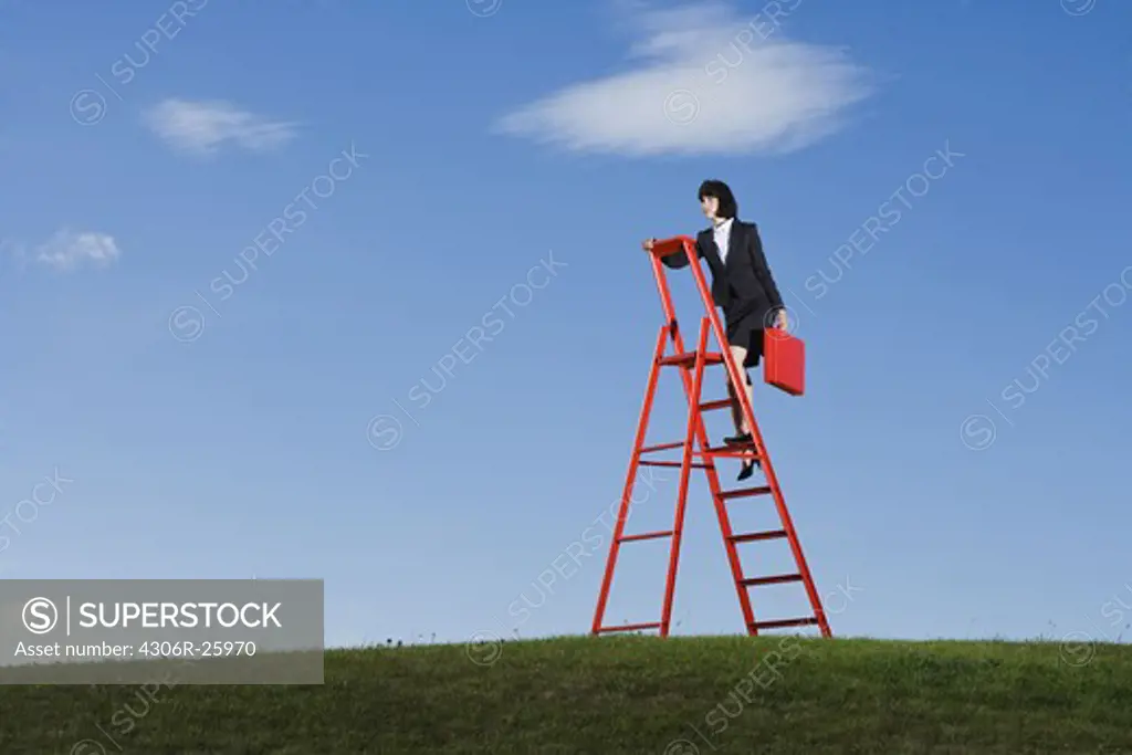 Businesswoman with red briefcase climbing up  red ladder in grass field