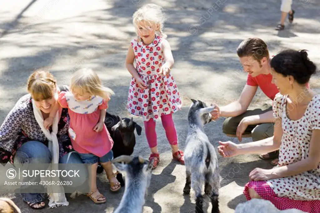 Family feeding goats at zoo