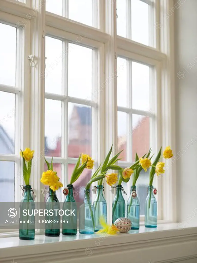 Narcisses in bottles on window sill