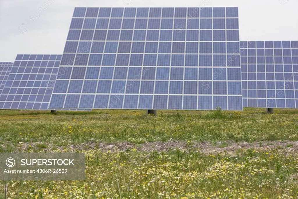 Solar panels on grass