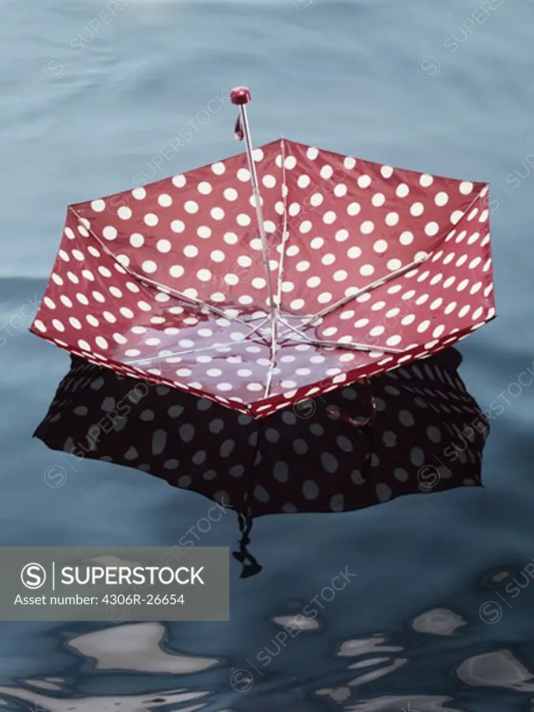 Umbrella floating on water, high angle view