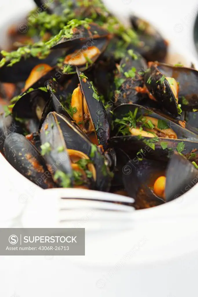 Mussels garnished with herb