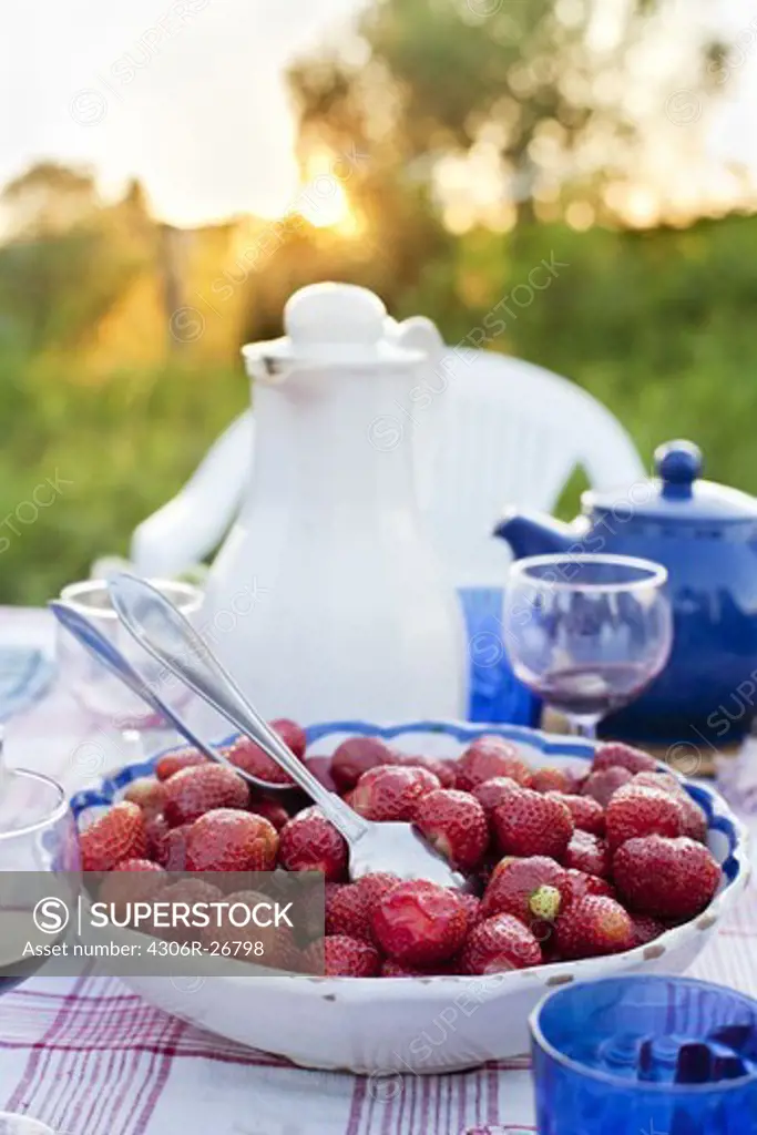 Bowl with strawberries on picnic table