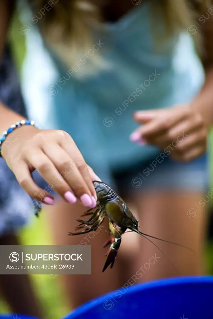Girl holding crayfish, close-up