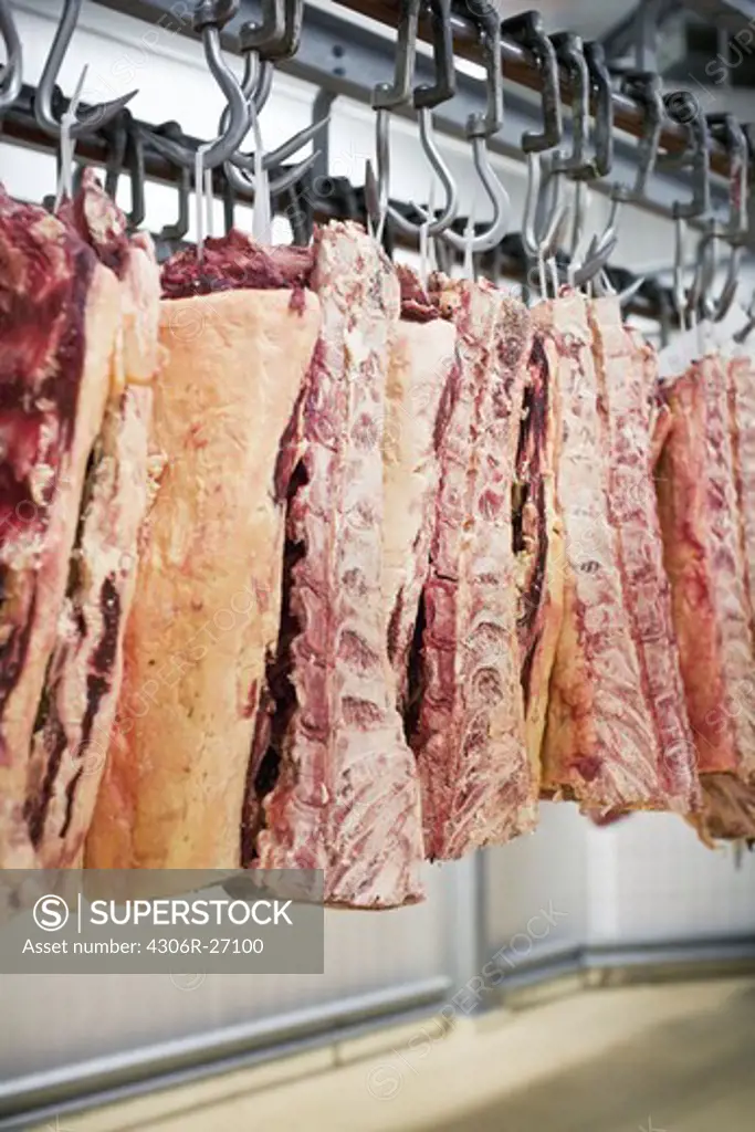 Meat hanging in butchers shop