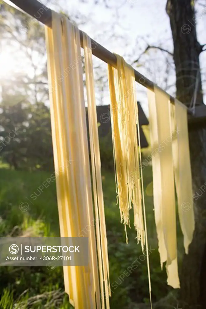 Pasta hanging on stick for drying