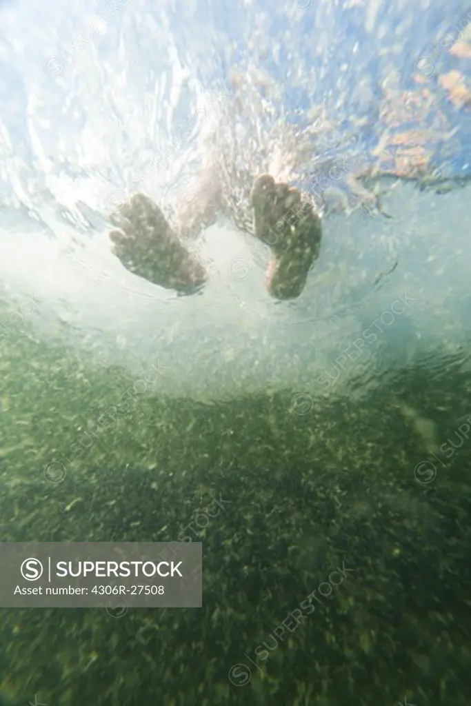Low angle view of feet in water