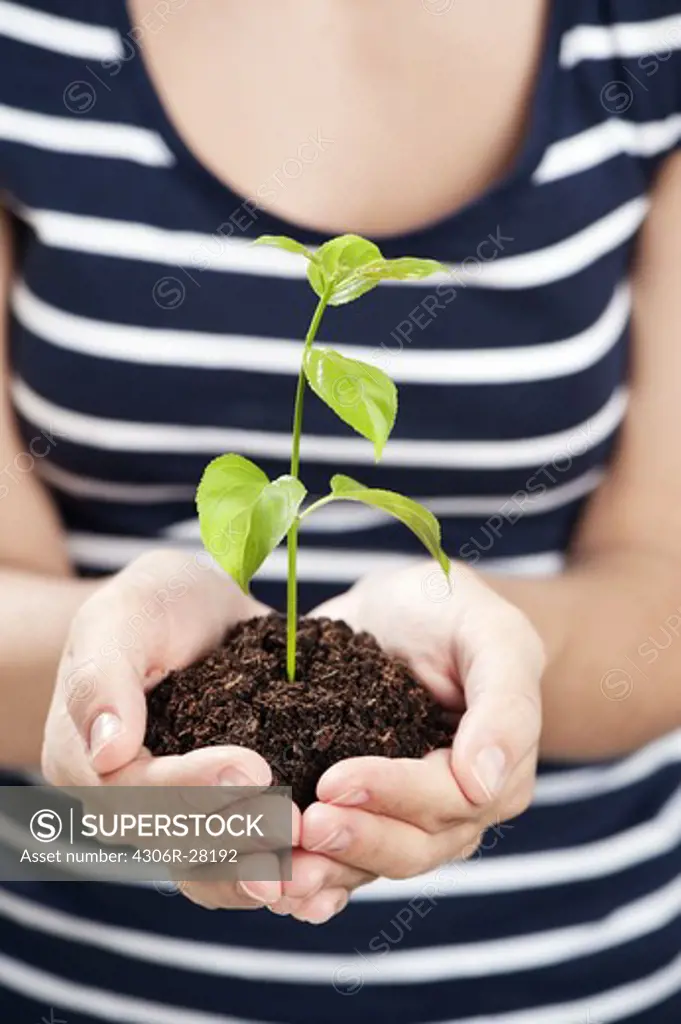 A woman holding a small plant