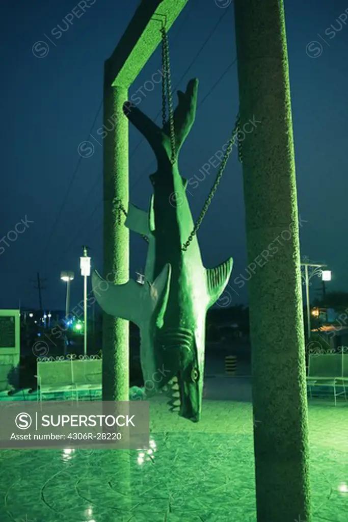 A statue of a shark hanging upside down
