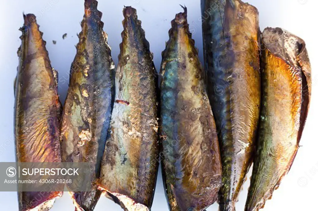Close up of smoked mackerels in row