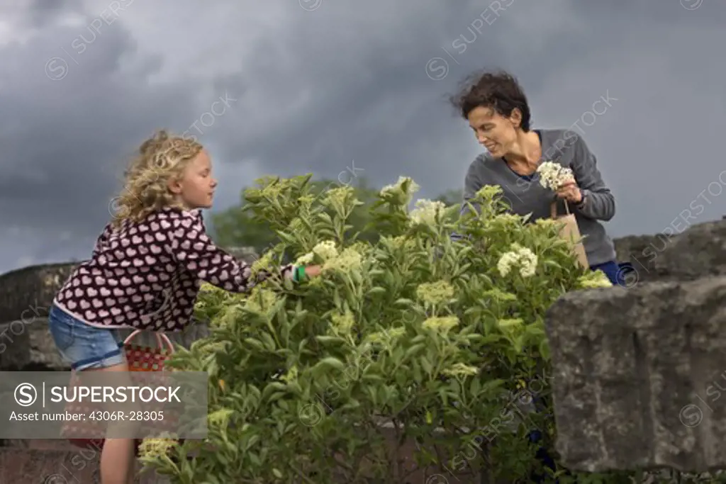 Mother and daughter picking flowers in stormy weather