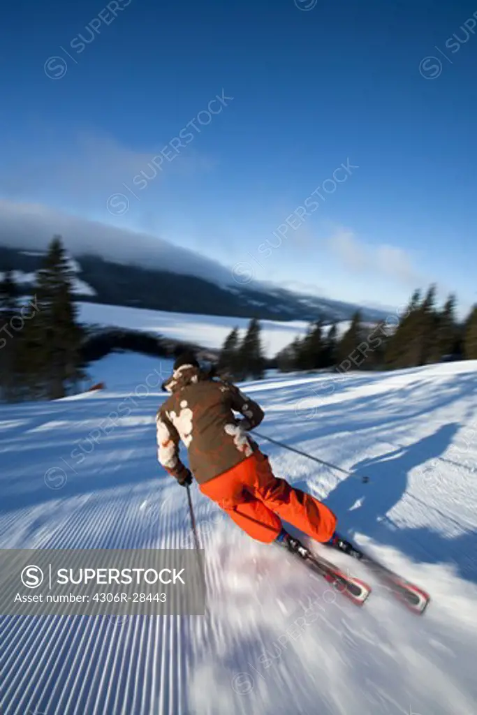 Skier going down slope, rear view