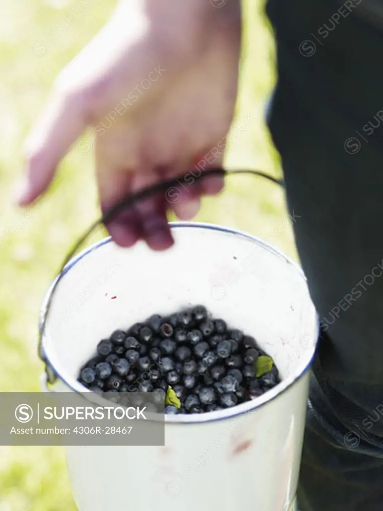 Man holding bucket of blueberries