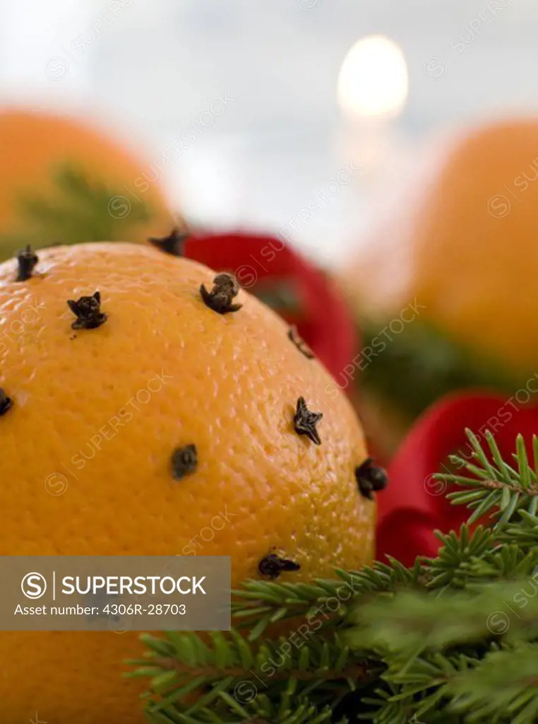 Close-up of orange studded with cloves