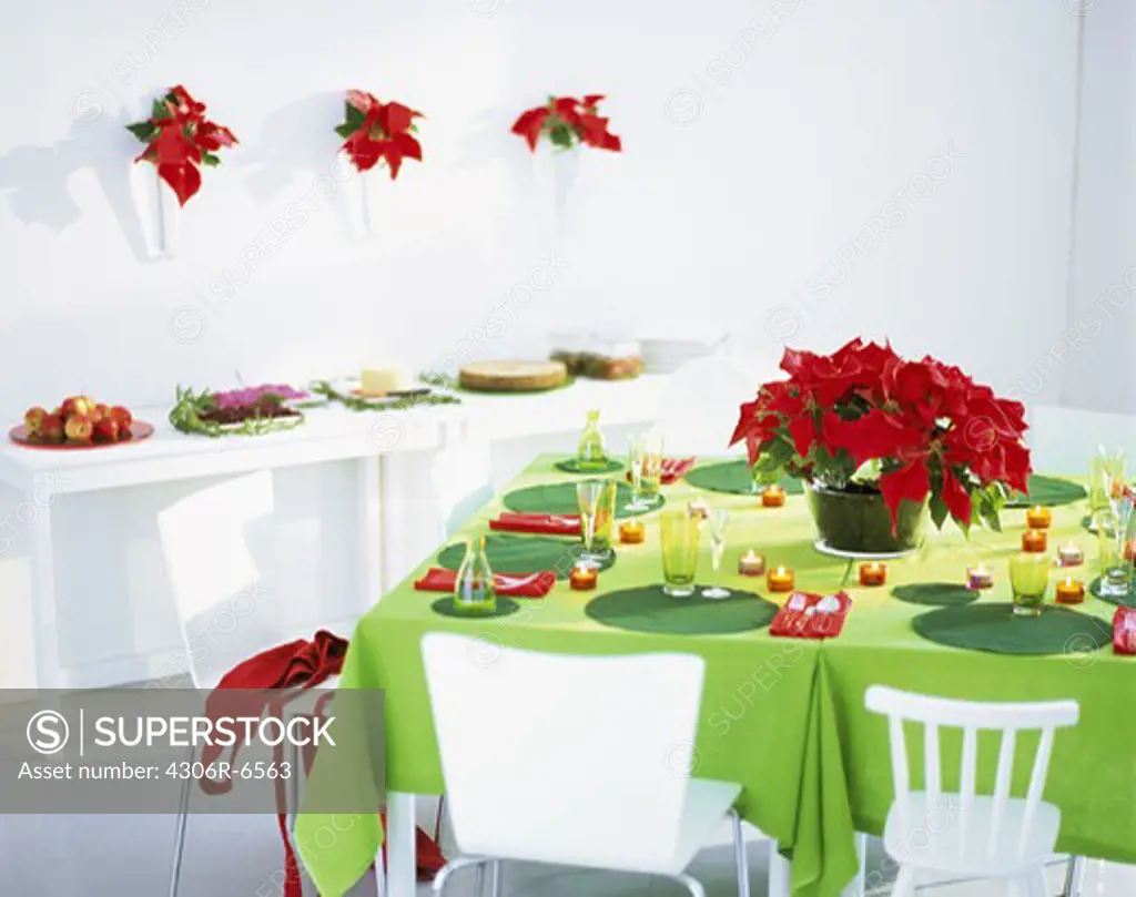 Elegant place setting on table with poinsettia flowers, Christmas feast in background