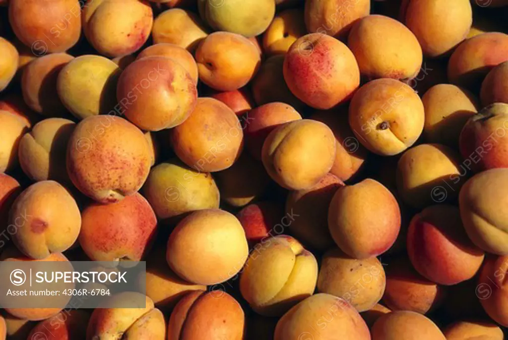 Large group of peaches, full frame