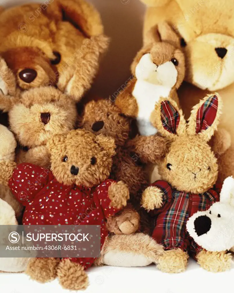 Variety of teddy bears, close-up